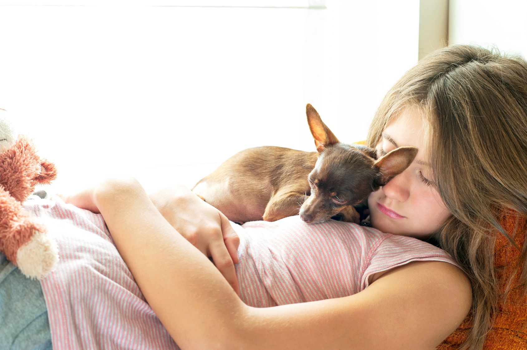 Why Dogs Should Sleep In Your Bed