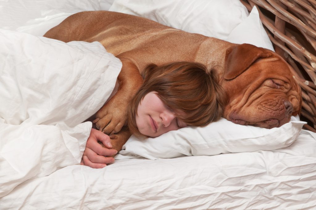 Why Dogs Should Sleep In Your Bed