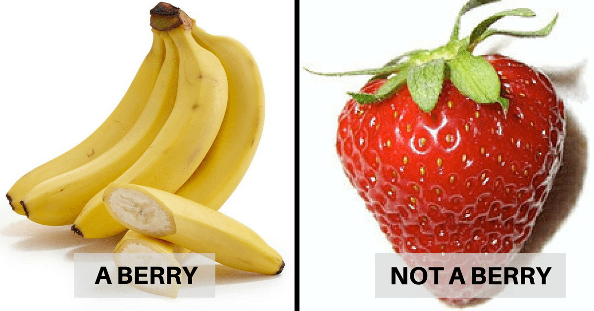 20+ Crazy Food Facts That Will Throw Everything You Know About Food Out The Window