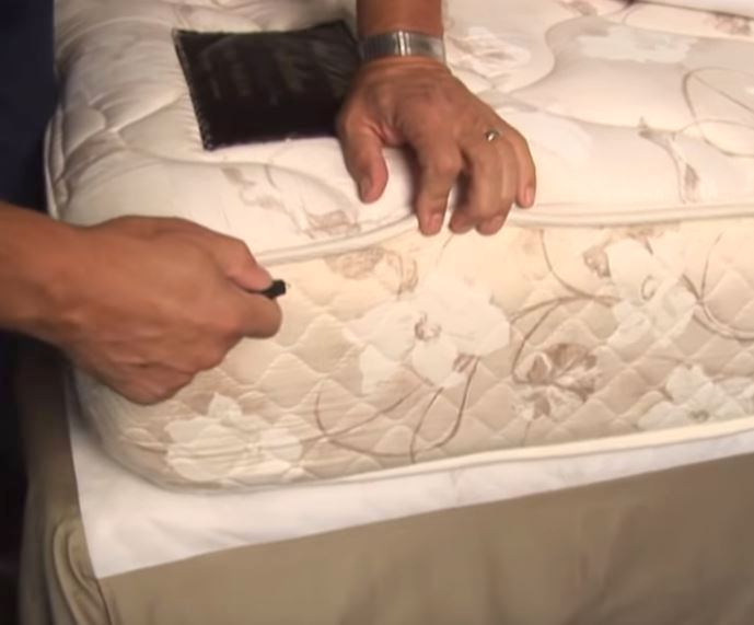 Expert Shares Seven Ways To Make Sure Hotel Room Free From Bedbugs