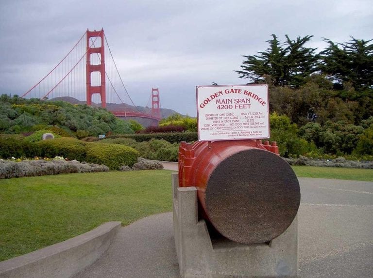 30 unusual photos of objects split in half
