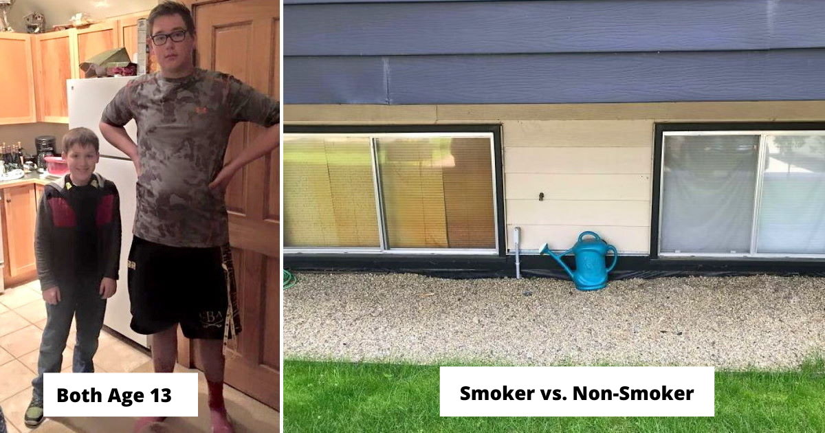Bad Comparisons 75 Comparison Images That Cause A Double Take