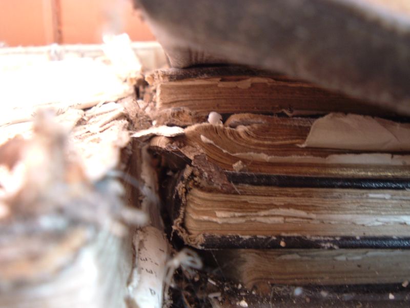 30 incredibly smart ways to use baby powder in and out of the house