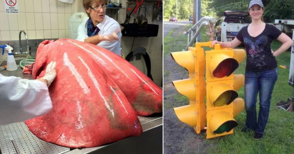 35 Things That Are Much Bigger Than You Think