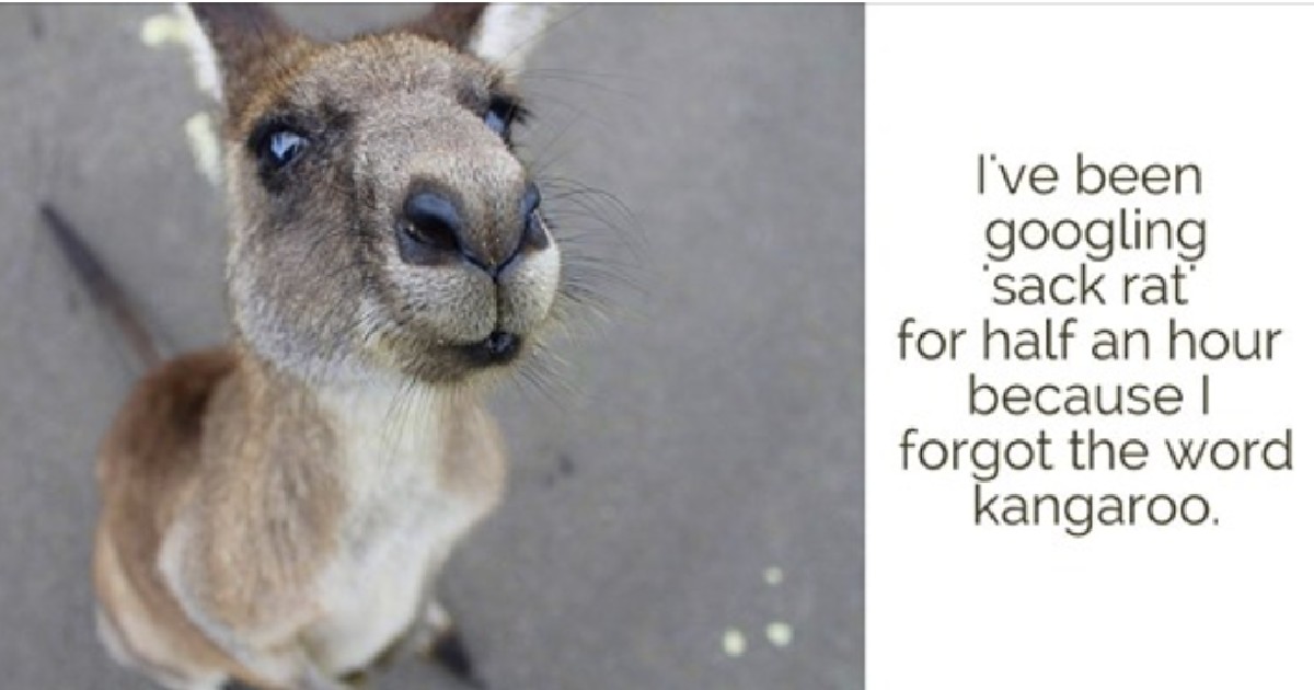 75 Who just couldn’t remember a simple word