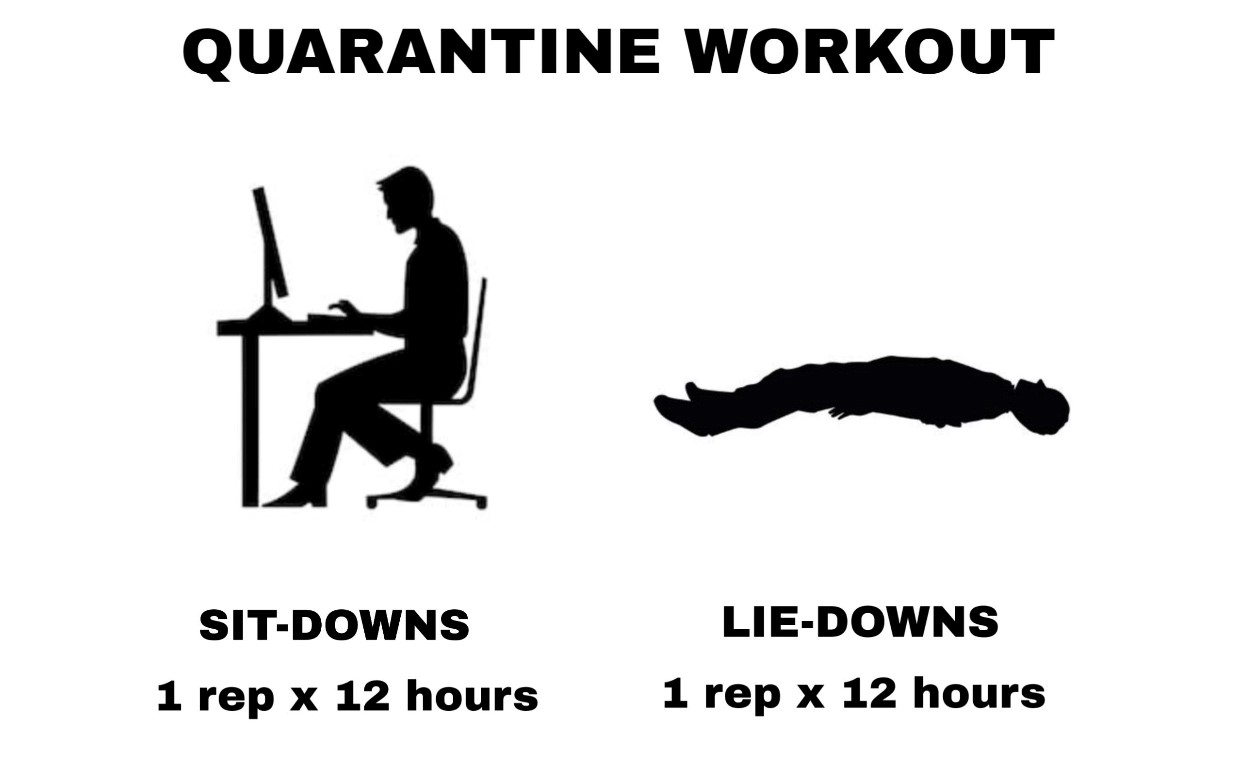 50 hilarious memes we all need right now