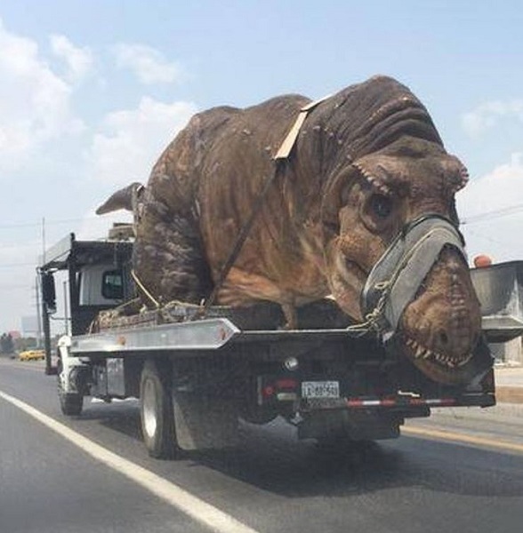 55 Times People Found Some Very Weird Things
