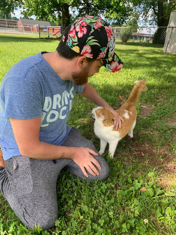 Just before storm rolls in, tree service saves cat stuck in tree