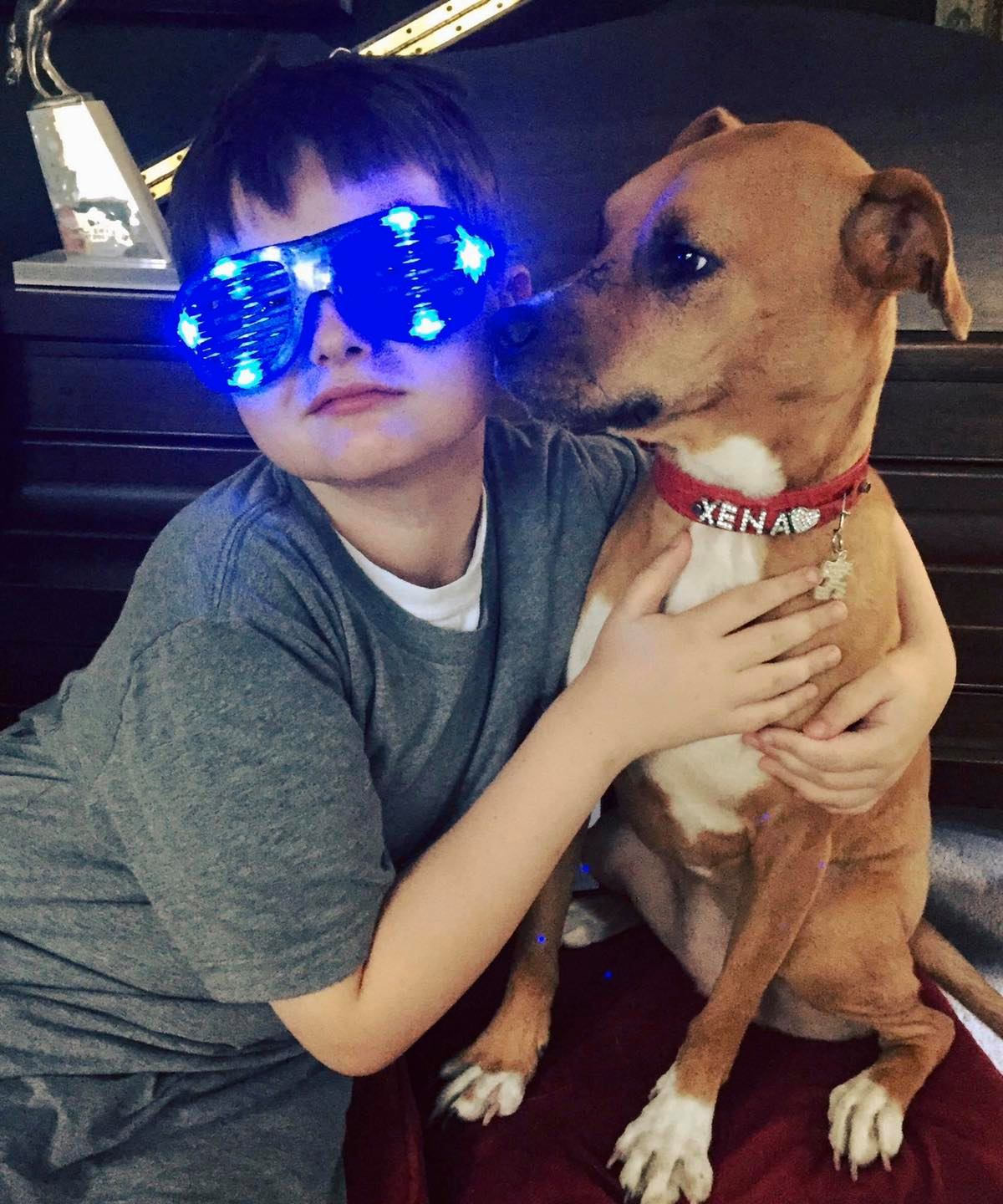 Boy with autism hadn’t spoken much until he met neglected rescue dog