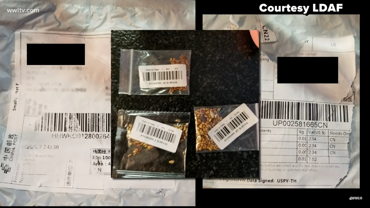 State officials warn residents not to plant ‘mystery seeds’ being