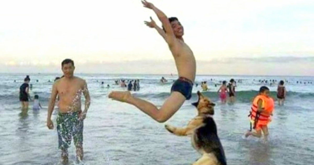 65 Pictures Captured Moments Before A Small Disaster