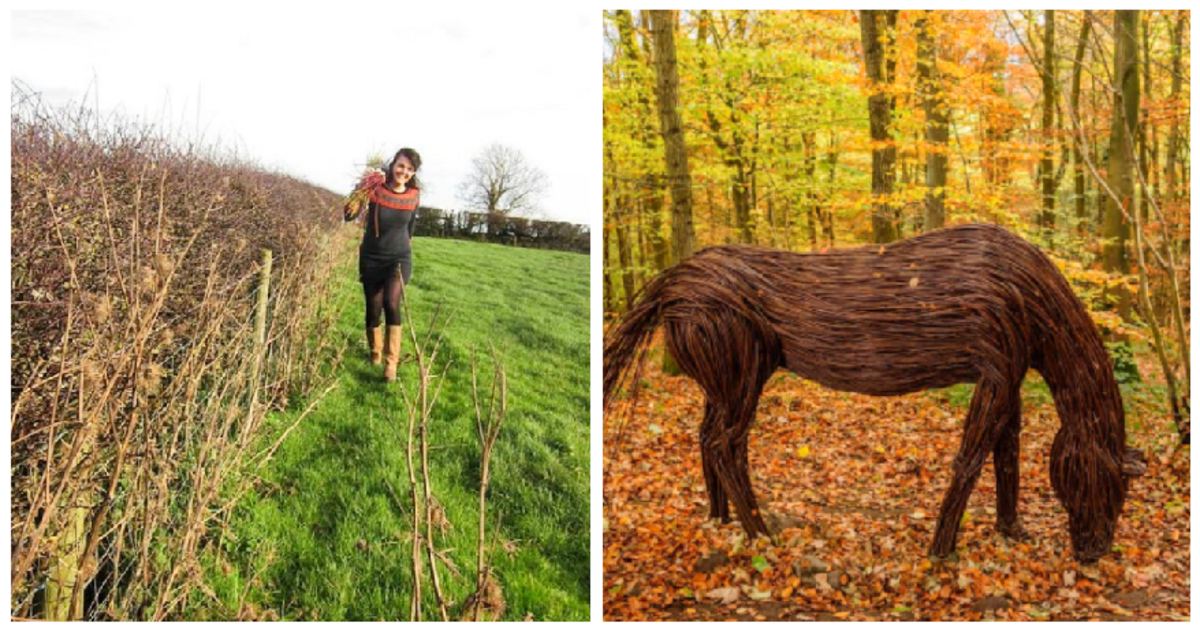 Wilow Reed Artist collects willow reeds then turns them into incredibly detailed ...