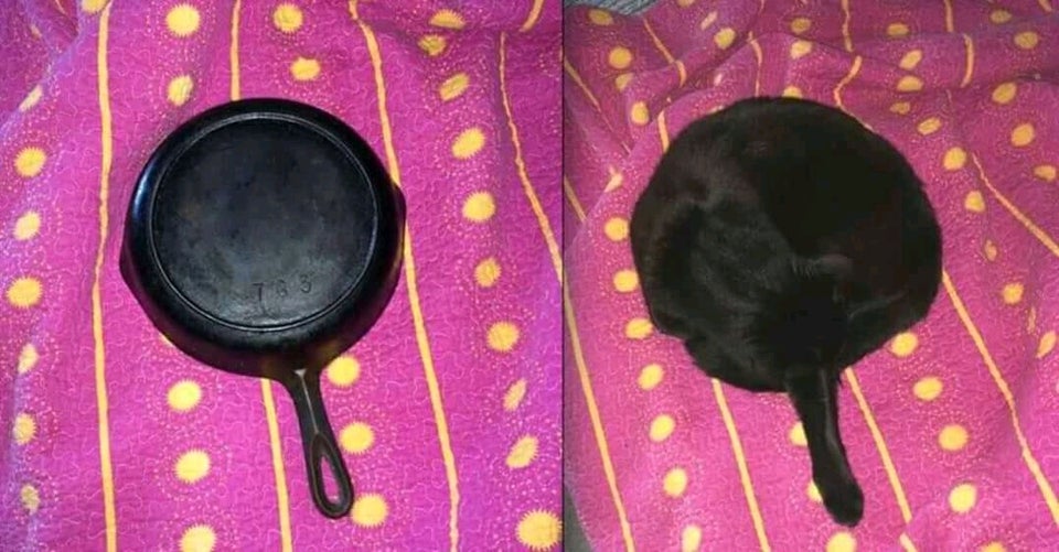 35 Misleading titles people added to images just to mess with our