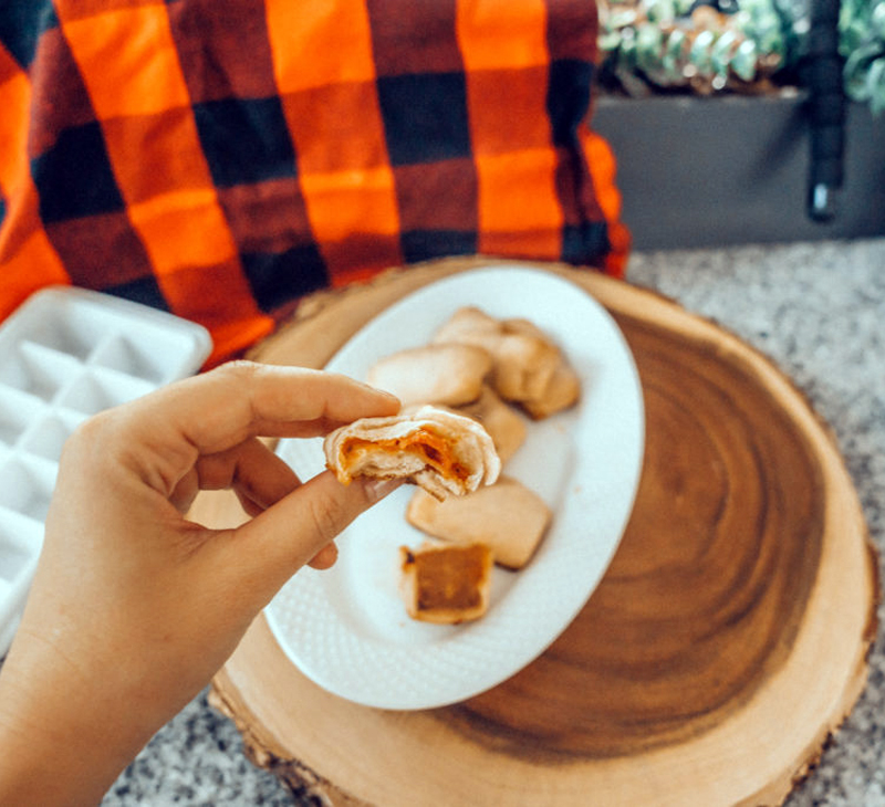 Ice cube tray pizza bites are delicious and effortless