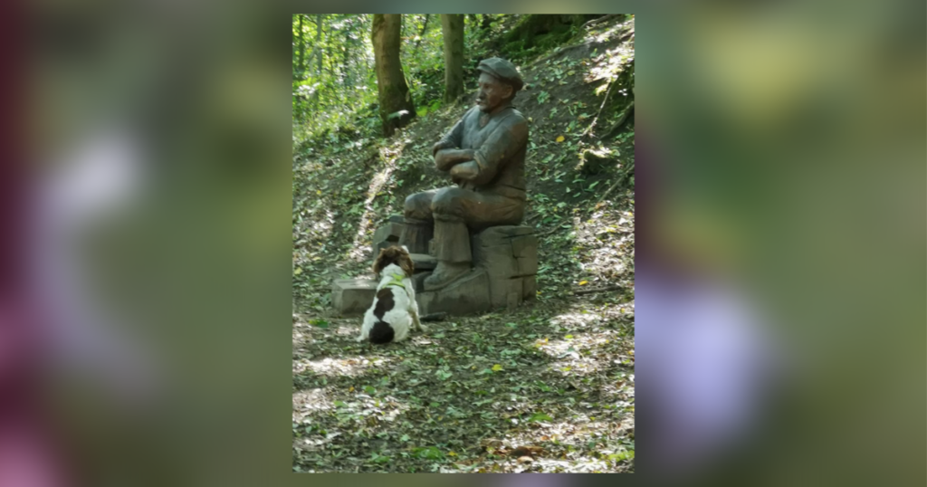 Enthusiastic pup wonders why man won’t play fetch