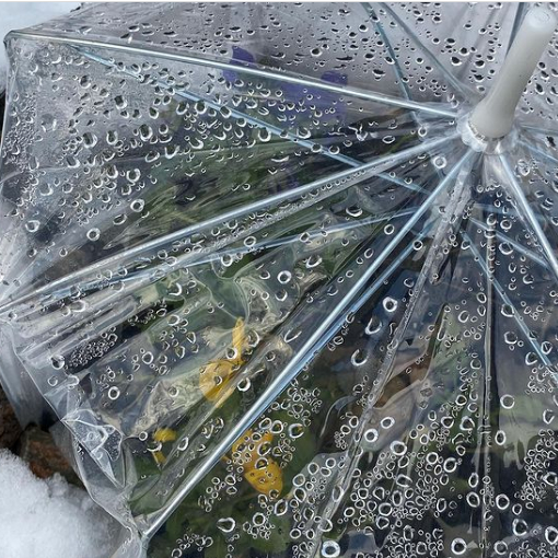 You can make a cute minigreenhouse for plants using a clear umbrella