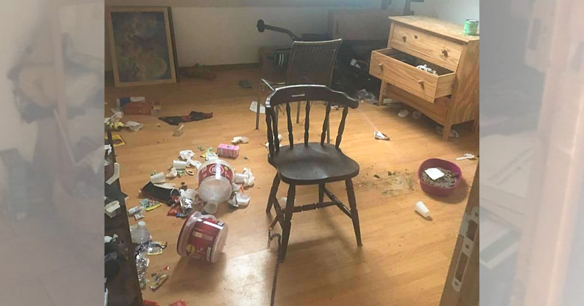 Landlord make biggest revenge to tenants who destroyed a home