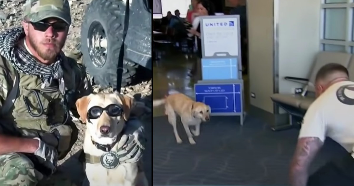 Soldier who hasn’t seen partner dog in 2 years finally reunites with ...