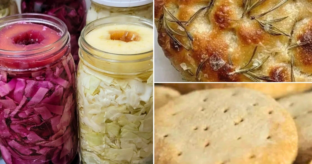 The Oldest Foods You’re Still Eating Today Without Realizing It